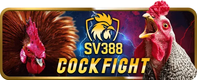 Quy trình đăng ký tài khoản t8bet Nổ Hũ đơn giản