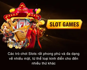 Hỗ trợ toàn diện